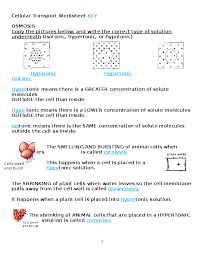 Some of the worksheets displayed are cell transport work, why model 1 movement of water a type of, cell transport review work, osmosis diffusion and cell transport, cellular transport review, transport in plants, cell ebrate science. Doc Cellular Transport Worksheet Key Angelica Sanchez Academia Edu