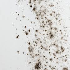 If you think you have a mold issue in your bathroom, there are some simple steps that you can frequently, these sealants can get moldy and look unsightly. Black Mold Symptoms How To Get Rid Of Black Mold Apartment Therapy