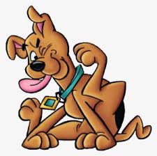 Scooby doo coloring pages love coloring pages colouring pics cartoon coloring pages printable coloring pages adult coloring pages coloring sheets coloring pages for kids coloring books. Pup Named Scooby Doo Pup Named Scooby Doo Png Transparent Png 500x494 Free Download On Nicepng