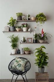 Modern And Elegant Vertical Wall Planter Pots In 2020 House Plants Decor Plant Decor Indoor Vertical Wall Planter Pots
