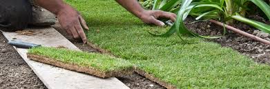 If there is live grass under the sod, it will die and rot and poison the roots of the new sod, causing brown spots. Turf Laying Tips From A Professional Landscaper Turfonline