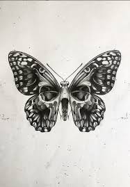 However, black and white butterfly species are most common in nature. Pin On Butterfly Drawing