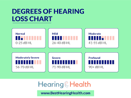 the ultimate guide to hearing loss best hearing health