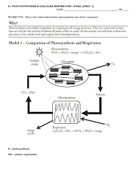 Alfred pasieka/science photo library / getty images. 8 1 Photosynthesis Cellular Respiration