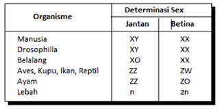 Check spelling or type a new query. Macam Pola Hereditas Pewarisan Sifat Soal Utbk Sbmptn 2021 Dan Pembahasan Pdf