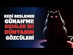 Kedi Beslemek Gunah Mi Kediler Iki Dunyanin Gozculeri Peygamberimizi Yilandan Kurtaran Kedi Youtube Kedi Hayvanlar Hayvan