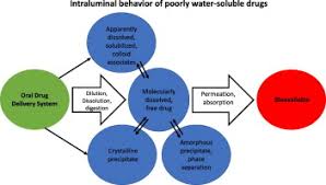 Successful Oral Delivery Of Poorly Water Soluble Drugs Both