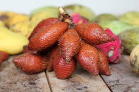 The life fruit is a hardmode plant that grows on jungle grass below the surface. Snake Fruit Delicious Taste Terrifying Nightmare