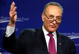 Chuck schumer authored a book that was published in 2007 titled positively american: Chuck Schumer 15 Things You Didn T Know The Fiscal Times