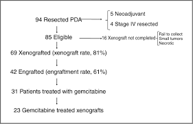 Pancreatic cancer treatment stage 4. Tumor Engraftment In Nude Mice And Enrichment In Stroma Related Gene Pathways Predict Poor Survival And Resistance To Gemcitabine In Patients With Pancreatic Cancer Clinical Cancer Research