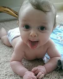 Carter M. Harris Obituary November 22, 2025