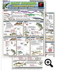 Bait Rigging Chart 1 Freshwater Contains Illustrations