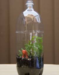 Activities Build A Terrarium 2nd Grade Science Even Though Build A Terrarium Life Science Activities Earth Science Activities