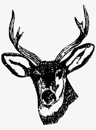 Check spelling or type a new query. Download Png Kepala Rusa Transparent Png 801x1024 Free Download On Nicepng