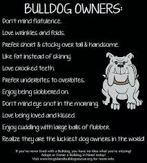 Pin By Magdalena Barajas On Bully Friends English Bulldog Lover Bulldog Lover English Bulldog