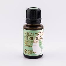 Image result for Eucalyptus citriodora