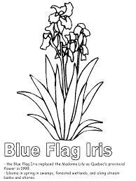 Download 105 coloring book iris stock illustrations, vectors & clipart for free or amazingly low rates! Iris Coloring Pages Best Coloring Pages For Kids