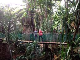 Les Jardins Exotiques De Bouknadel Rabat Kid