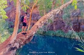 Image result for karijini