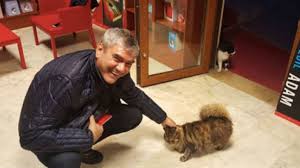 Kirmizi Kedi Yayinevi Nin Kedisi Baris In Hikayesi Ve Kitaplar