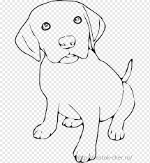 Cat Coloring Page Png Images Pngwing
