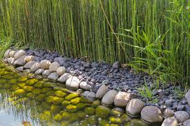 In this example, the owner. 53 Bamboo Garden Ideas That Will Inspire You Garden Tabs