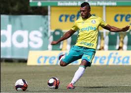 Resultado de imagem para borja no palmeiras