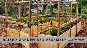 The fenced garden is visible in the distance, a placement that was purely intentional, bynon says. Garden In A Box With Deer Fence 8x12 Assembly Youtube
