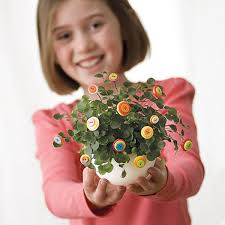 6 Spring Crafts Inspired by Nature