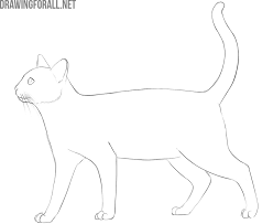 I'll start with a simple shape, and step by step we'll make small changes to it until the anim. How To Draw A Cat Easy
