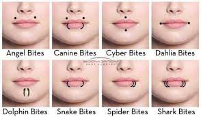 Everything You Need To Know About Piercings Mouth Piercings Face Piercings Facial Piercings