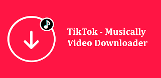 Download Tik Tok Videos Save Tik Tok Video Download Musically Videos Video Downloader App Twitter Video Pinterest Video