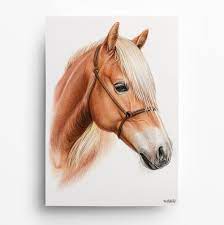 Portrait de cheval DESSIN au crayon de couleur cheval - Etsy Canada