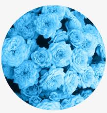 Maybe you would like to learn more about one of these? Bambi Blue Tumblr Flower Babyblue Light Blue Flowers Aesthetic Transparent Png 1024x1024 Free Download On Nicepng