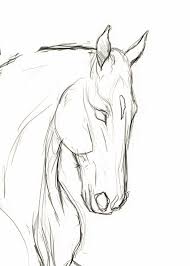 Horse Art How To Draw Horse Faces Today Again Our Team Placed 4th Position In Young 2018 This Photo Got 5 6 In 2020 Easy Horse Drawing Horse Art Drawing Horse Drawings