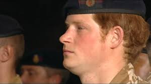 215 Anne Noble Stock Videos, Footage, & 4K Video Clips