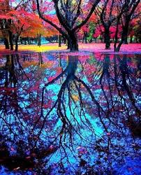 Pin On Pretty Nature