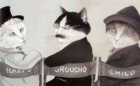 Film Kedileri Godfather Dan Bazilari Sicak Sever E Unutulmaz Kareler Egoist Okur Kedi Sanati Kedi Guzel Kediler