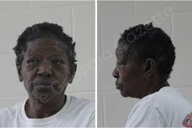 Ella Ward — Houston County Jail Bookings