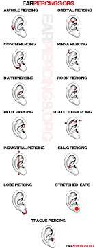 Piercings Different Ear Piercings Ear Piercing Diagram Piercing
