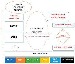 Capital Structure Choices in Technology Firms: Empirical Results from  Polish Listed Companies