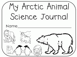 Show your kids a fun way to learn the abcs with alphabet printables they can color. Free Printable Arctic Animals Coloring Pages Coloring Home