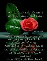 اقوال حكم بذور خير جميل عطاء حب حياة ale plants oils
