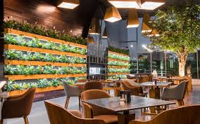 أفضل 10 مطاعم في عجمان Tripadvisor