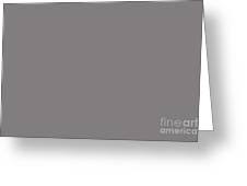 I wanted a floating bed; Armadillo Mid Tone Grey Solid Color Pairs To Sherwin Williams Sensuous Gray Sw 7081 Mixed Media By Melissa Fague