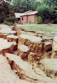 Image result for Malacca Blue 1989 Summit