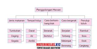 Rangkuman ipa kelas 8 semester 1. Rangkuman Materi Kelas 3 Sd Mi Ipa Semester 1 2 Paket Soal Kumpulan Soal Sd Smp Sma Dan Smk Lengkap