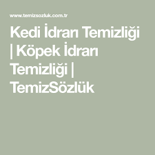 kedi idrari temizligi kopek idrari temizligi temizsozluk kedi kopek evcil hayvanlar