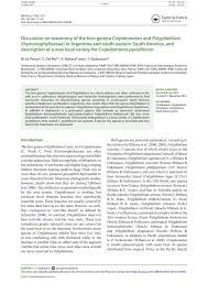 Image result for Polyphlebium borbonicum