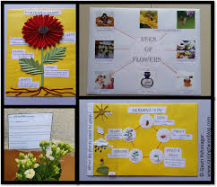 Flowers And Plants Easy To Make Charts And Project Ideas